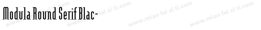 Modula Round Serif Blac字体转换